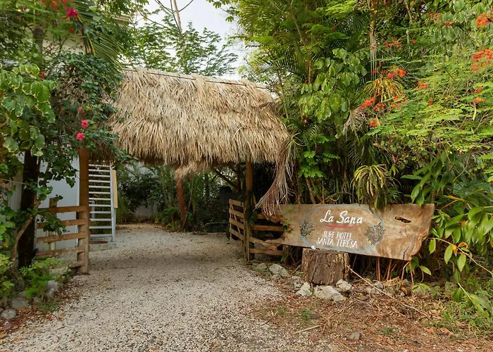 Pet Friendly hotel: La Sana Surf Hotel, Playa Carmen